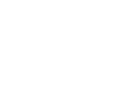  White light effects. Glowing isolated bright transparent light effects, glare, explosion, glitter, portal, line, sun flare, spark and stars, curve. Sunlight, abstract special effect