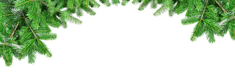 Christmas Fir Branches Frame with Fir Cones isolated on white Background - Panorama