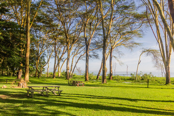 Obraz premium Camping site at Naivasha lake, Kenya