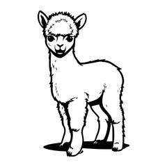 cute baby alpaca Monochrome illustration, llama silhouette design, Generative AI.