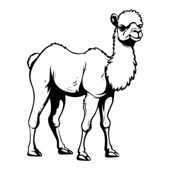 cute baby camel Monochrome illustration, Camel silhouette design, Generative AI.