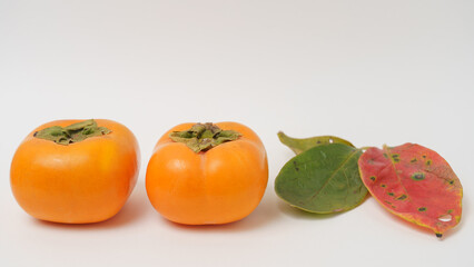 日本の柿・秋のイメージ