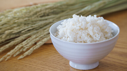 白い御飯と稲穂