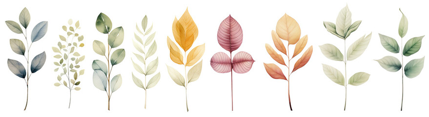 Set of Watercolor botanic leaf cut out transparent isolated on white background ,PNG file