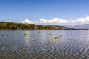 View of Naivasha lake, Kenya