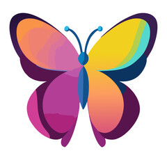 butterfly on white background