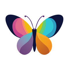 butterfly isolated on white background