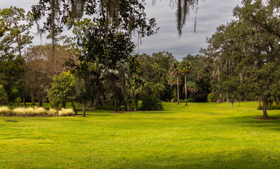 landscape with trees and grass, pond in background