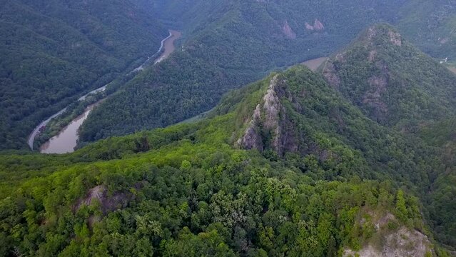 Aerial Drone flight above sharp mountain peaks covered with luxuriant and wild beech forests. The valley winds through sharp ravines. Olt river flows in the background. Carpathia, Romania.