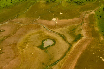 extreme drought in amazon rivers