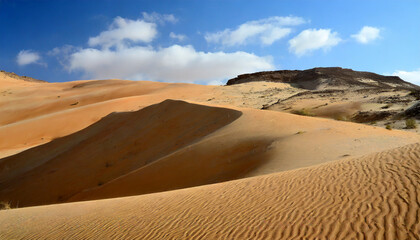 Fototapeta na wymiar Desert Sands and Rugged Dunes