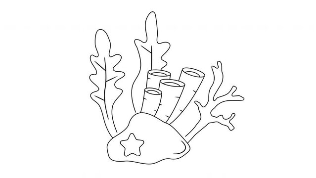 Animated video creates a sketch of a coral reef icon