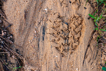 Geological detail of coarse sand gravel in the mountain woods with water flowing marks and a heart shape footprint