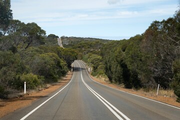 a truck drives down an empty country road surrounded by trees