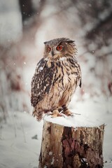 Vertical shot of a brown eagle-owl with red eyes perched on a snowy tree stump