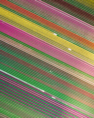Tulips fields in The Netherlands - Aerial view of blooming tulips in spring v1