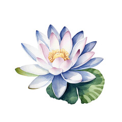 Beautiful lotus water lilly with leaves for card design watercolor paint on white background