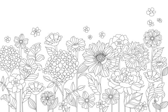 garden meadow of stylised flowers. coloring book page for adults