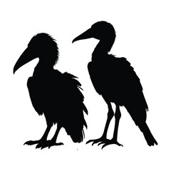 Shoebill Silhouette on White Background