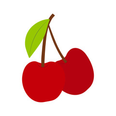 Fresh cherry fruit isolated on white background, flat design vector illustration.