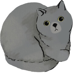 a hand drawn color pencil british short hair cat kitten