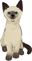 hand drawn cartoon of siamese cat, color pencil drawing of kitten a house hold pet