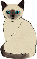 hand drawn cartoon of siamese cat, color pencil drawing of kitten a house hold pet