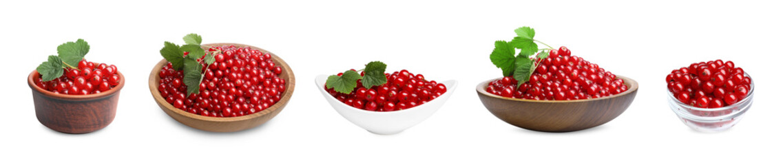 Ripe red currants in bowls isolated on white, set