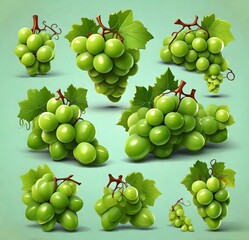 set of green grapes