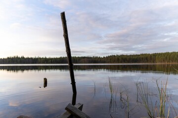 Wooden pole stands in the middle of a tranquil lake against the background of a forest.