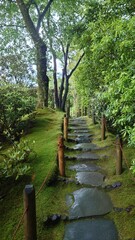 walk through Japanese moss garden