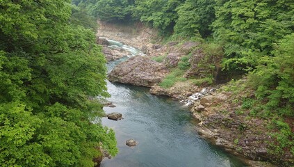 鬼怒川