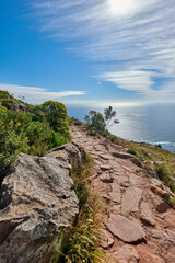 A hiking trail in the coastal location of Lions Head, Table Mountain National Park in Cape Town. Beautiful landscape of a hiking path surrounded by nature and the ocean on a summer day