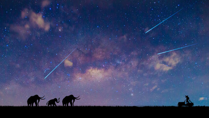 Silhouette Elephant traveling on the ground at night,Panorama blue night sky milky way and star on...
