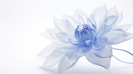  a blue flower with white petals on a white background with water droplets.  generative ai