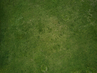 Aerial drone image of a green meadow in Ukraine