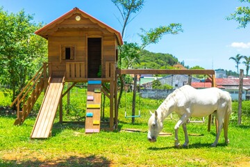 White horse grazing in a picturesque outdoor setting, with a quaint wooden playhouse