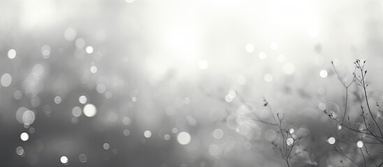 A nature background with blurred black and white bokeh effects