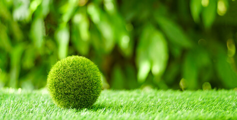 Glass earth globe on green grass in the garden background of safe world, save the planet concept,...