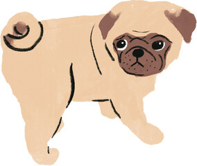 hand drawn cartoon illustration of dog pet in color pencil style.  drawing of household animal isolated. a pug