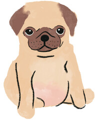 hand drawn cartoon illustration of dog pet in color pencil style.  drawing of household animal isolated. a pug