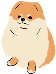 hand drawn cartoon illustration of dog pet in color pencil style.  drawing of household animal isolated. a pomeranian dog