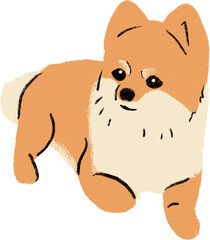 hand drawn cartoon illustration of dog pet in color pencil style.  drawing of household animal isolated. a pomeranian dog