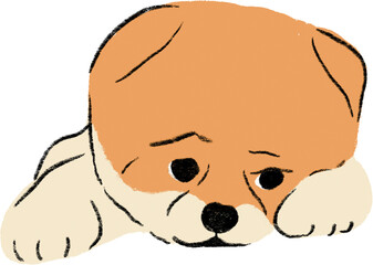 hand drawn cartoon illustration of dog pet in color pencil style.  drawing of household animal isolated. a pomeranian dog