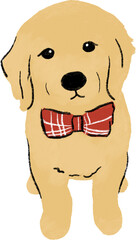 hand drawn cartoon illustration of dog pet in color pencil style.  drawing of household animal isolated.