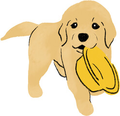 hand drawn cartoon illustration of dog pet in color pencil style.  drawing of household animal isolated.