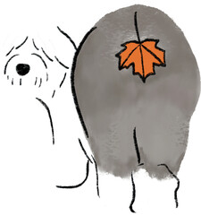 hand drawn cartoon illustration of dog pet in color pencil style.  drawing of household animal isolated. sheepdog or sheep dog