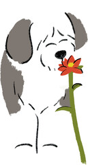 hand drawn cartoon illustration of dog pet in color pencil style.  drawing of household animal isolated. sheepdog or sheep dog