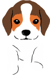 hand drawn cartoon illustration of dog pet in color pencil style.  drawing of household animal isolated. beagle