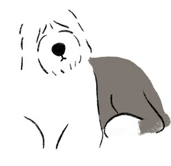 hand drawn cartoon illustration of dog pet in color pencil style.  drawing of household animal isolated. sheepdog or sheep dog